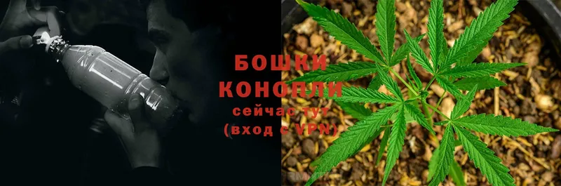 Шишки марихуана SATIVA & INDICA  Лермонтов 